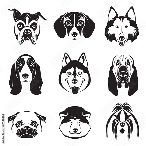 monochrome set of dogs heads