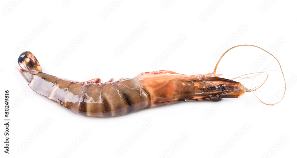 Naklejka premium Fresh Shrimp