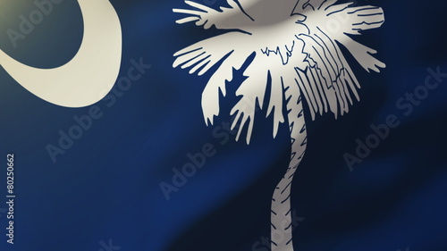 south carolina flag waving in the wind. Looping sun rises style