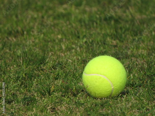 テニスボール © hiyokoma