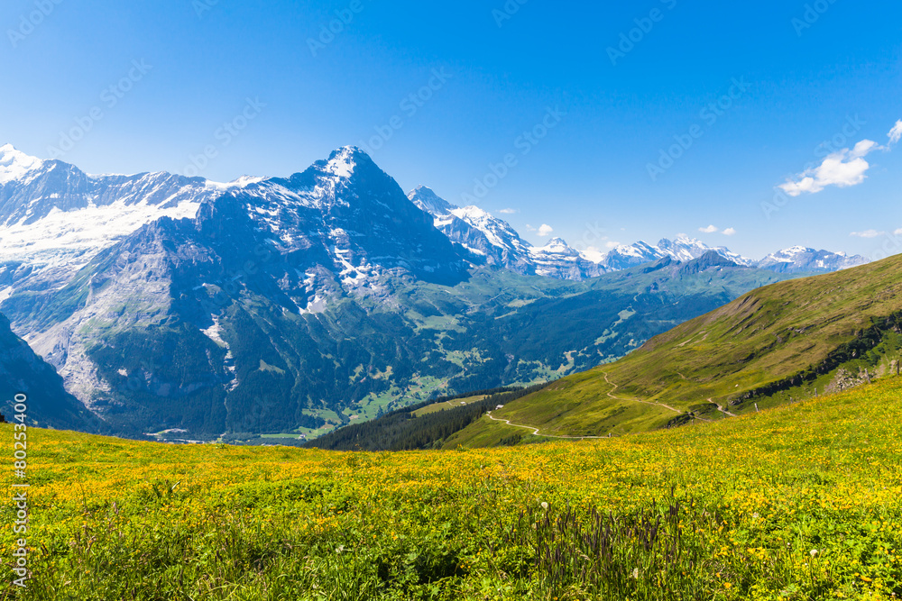 Panorama view of Eiger and otehr peaks