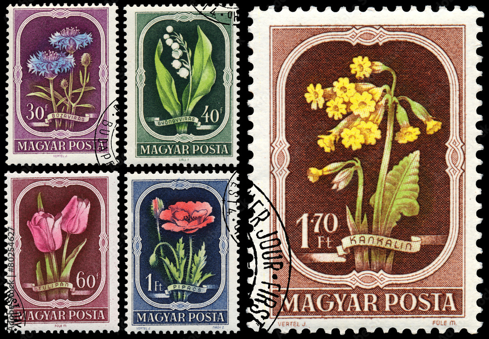 Stamps printed in Hungary show Flowers Stamps printed in Hungary show Flowers