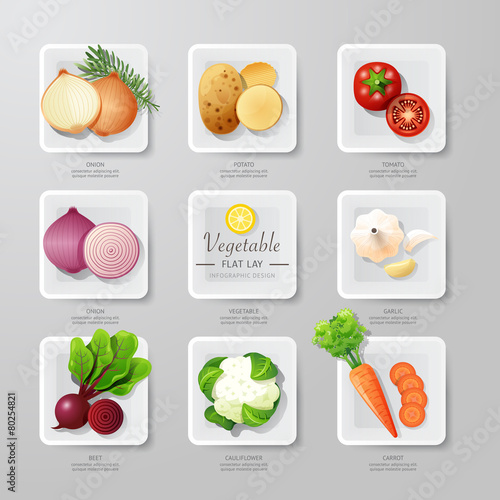 Infographic food vegetables flat lay idea. Vector illustration h