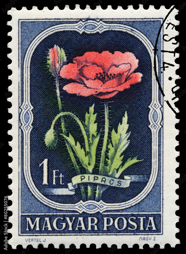 Stamp printed in Hungary shows Poppy Stamp printed in Hungary shows Poppy