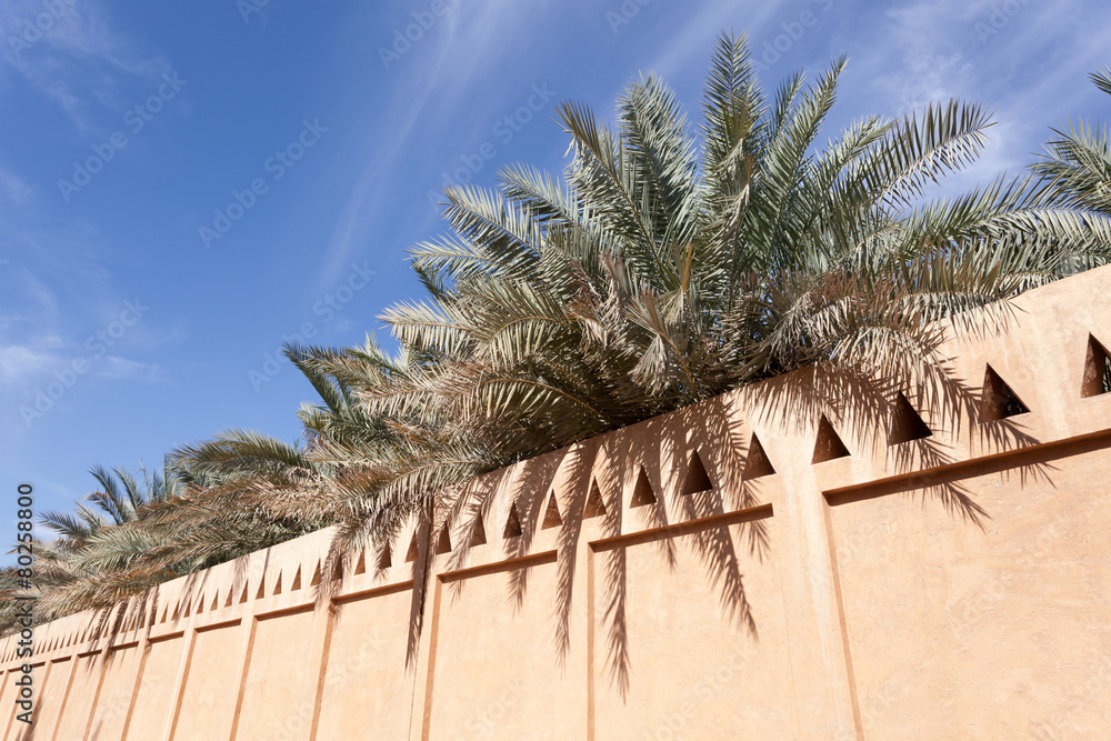 Fototapeta premium Palm Trees in the Al Ain Oasis, Emirate of Abu Dhabi