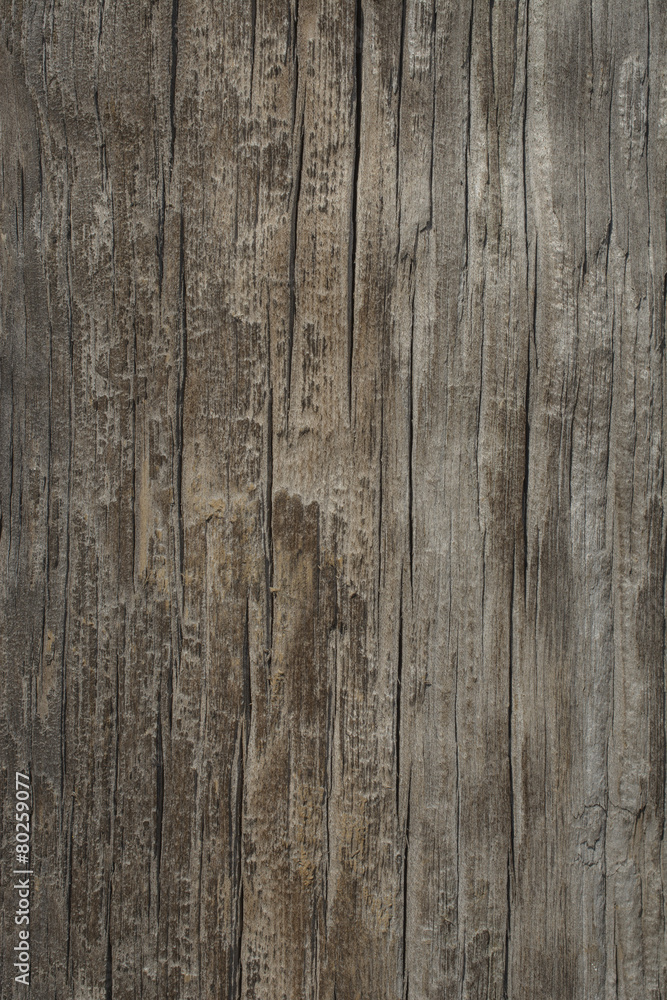 Old wooden board Old wooden board