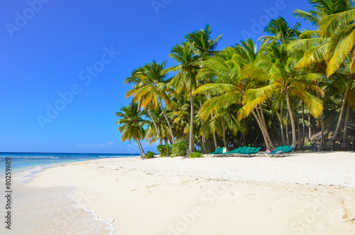 Tropical Beach  Saona Island  Dominican Republic
