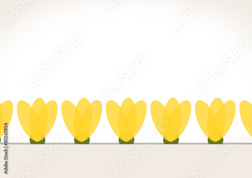 Tulipanes vintage 