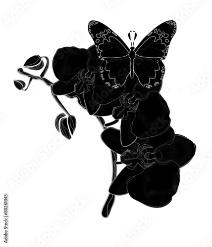 Orquídeas 