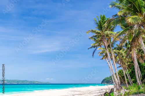 Tropical white beach view and palm trees with turquoise sea photo