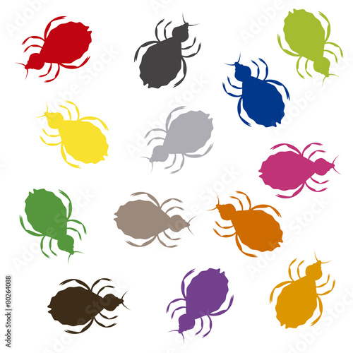 piojos vector color