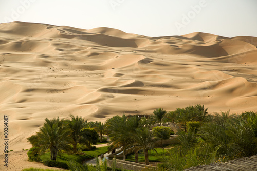Green oasis in the middle of a sand desert