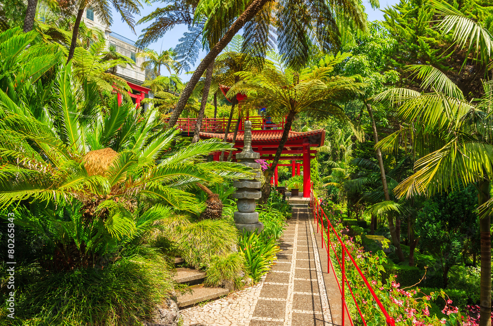 Monte tropical gardens in Funchal town, Madeira island, Portugal Monte tropical gardens in Funchal town, Madeira island, Portugal