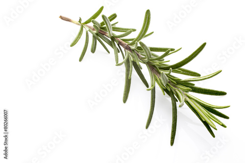 Rosemary.