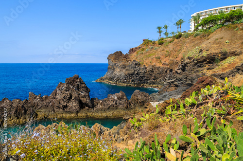 Tropical plants on coast of Madeira island in Funchal town