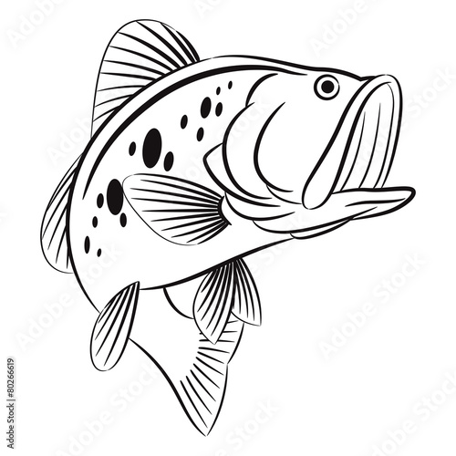 Bass fish symbol on white background,Vector.