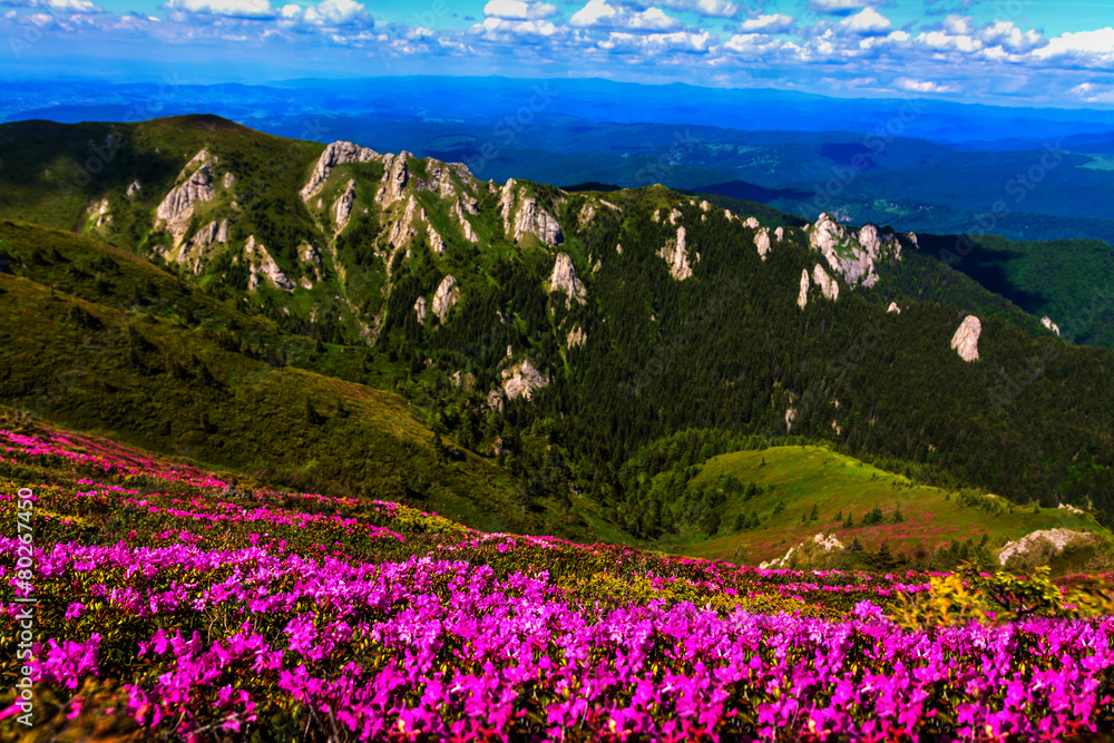 Obraz premium Ciucas Mountain Landscape