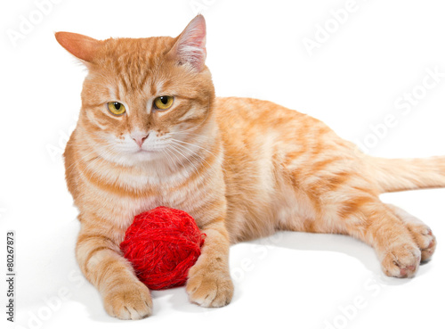Orange cat and a sphere of red wool