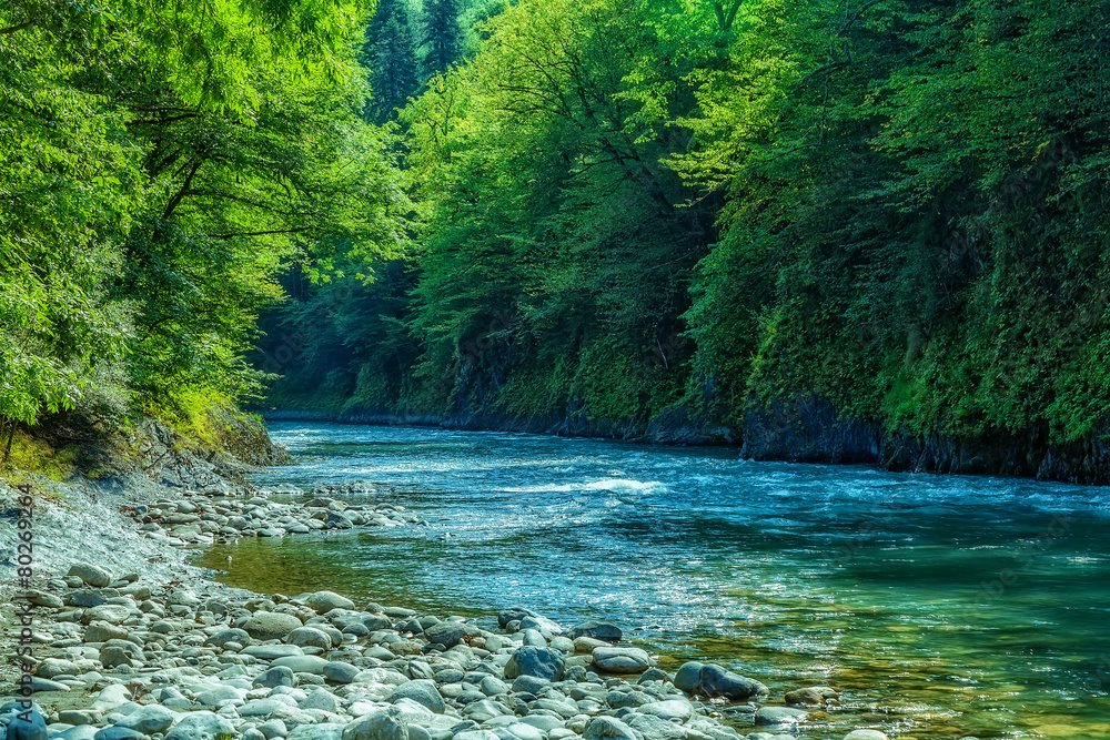 Naklejka premium Mountain river