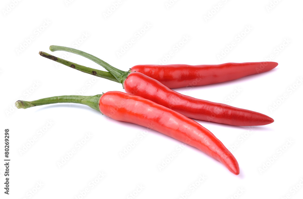 pepper (chili) isolate on white pepper (chili) isolate on white