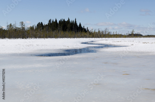 Wallpaper Mural Stream Torontodigital.ca