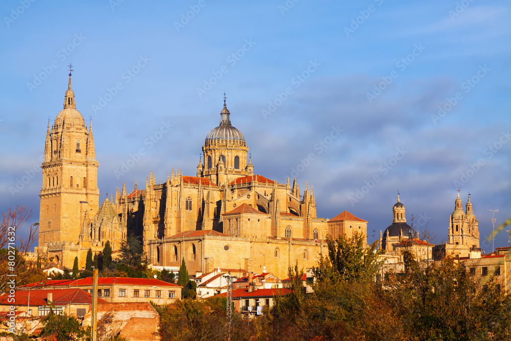 Salamanca Cathedral   in autumn time