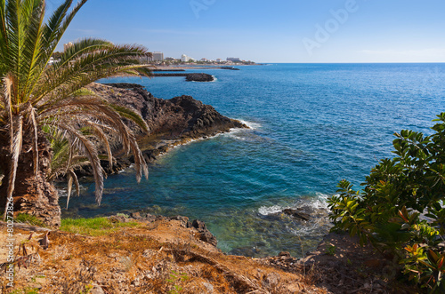 Beach in Tenerife island - Canary