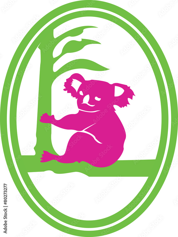 Obraz premium Koala