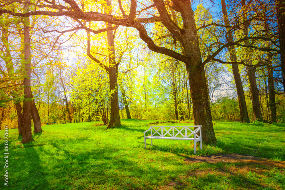 Obraz premium Park