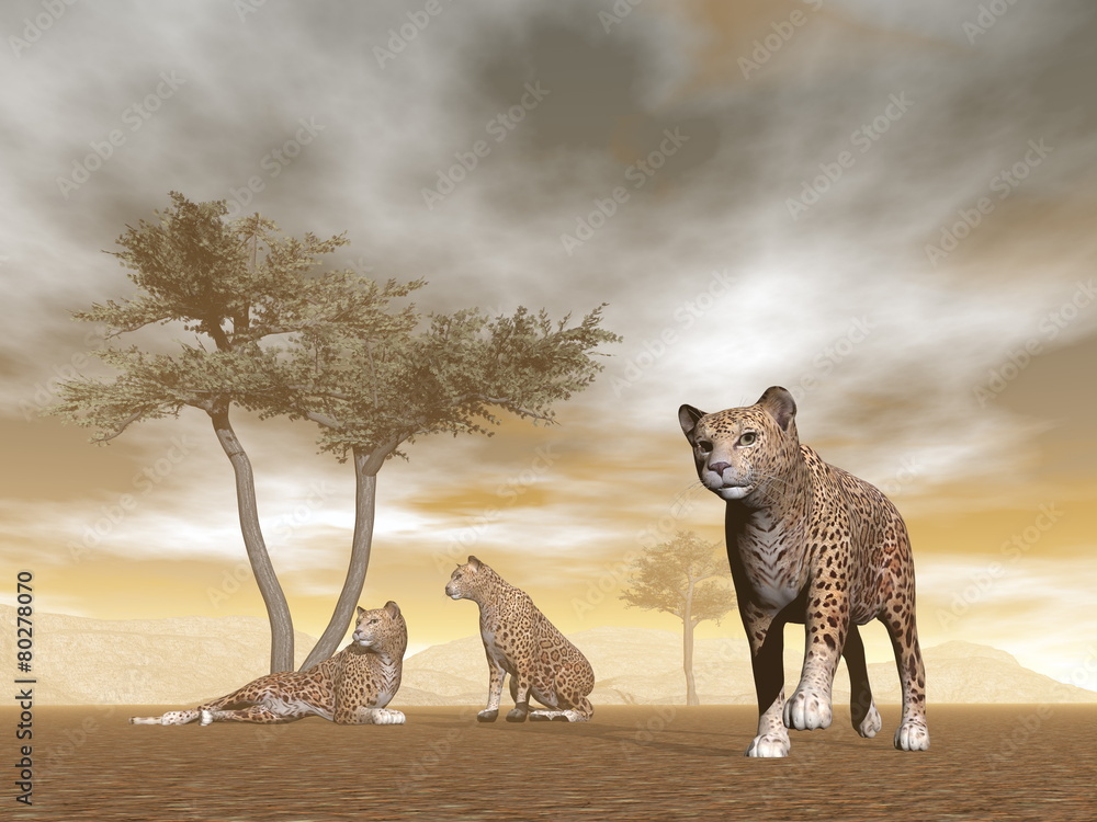 Obraz na plátně Jaguars in the savannah - 3D render