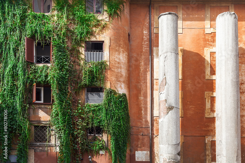 Facade, columns and climbimg plant in Rome, Italy. photo