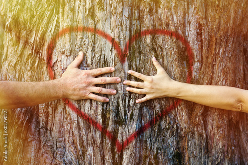 Couple touching heart in sunlight