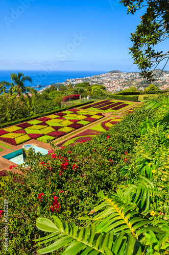 Obraz na płótnie Monte tropical gardens in Funchal town, Madeira island, Portugal w salonie