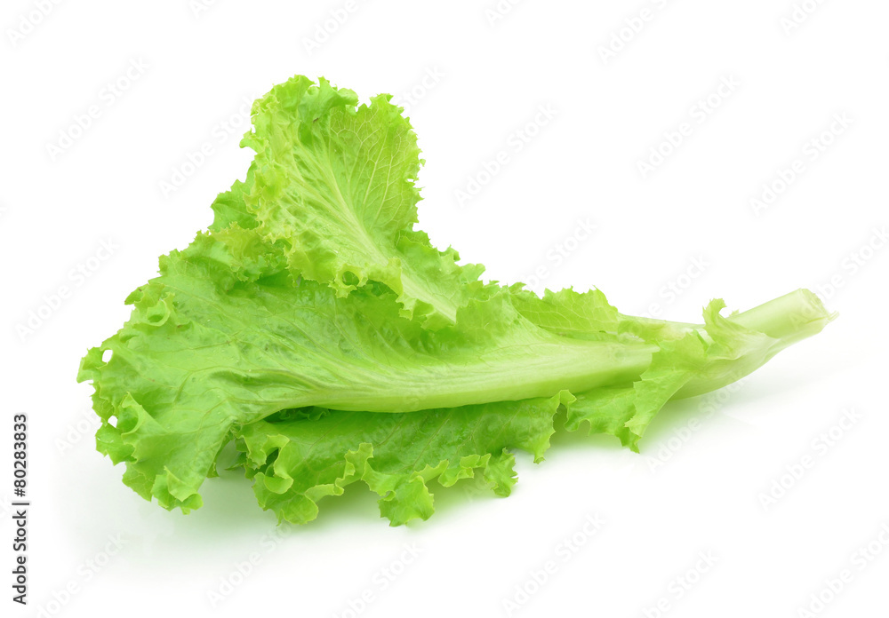 fresh green lettuce leaves isolated on white fresh green lettuce leaves isolated on white