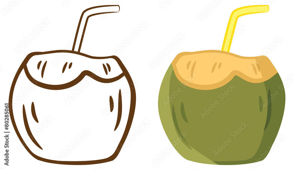 cartoon coconut isolated in white background cartoon coconut isolated in white background