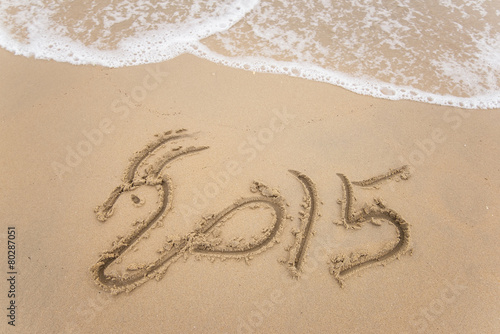 new year 2015 written in sand © xiaoliangge
