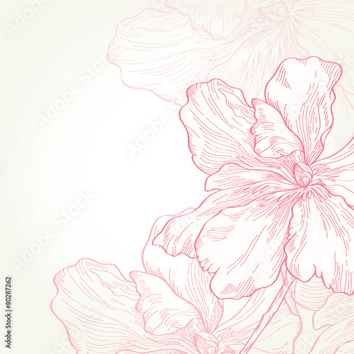 Vector illustration.Pink flowers