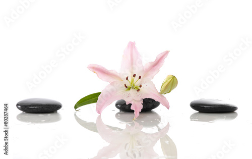 Spa concept with lily and black stone 