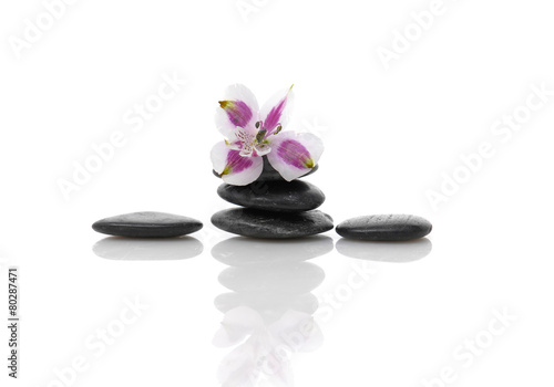 Violet orchid flower on black spa stones.