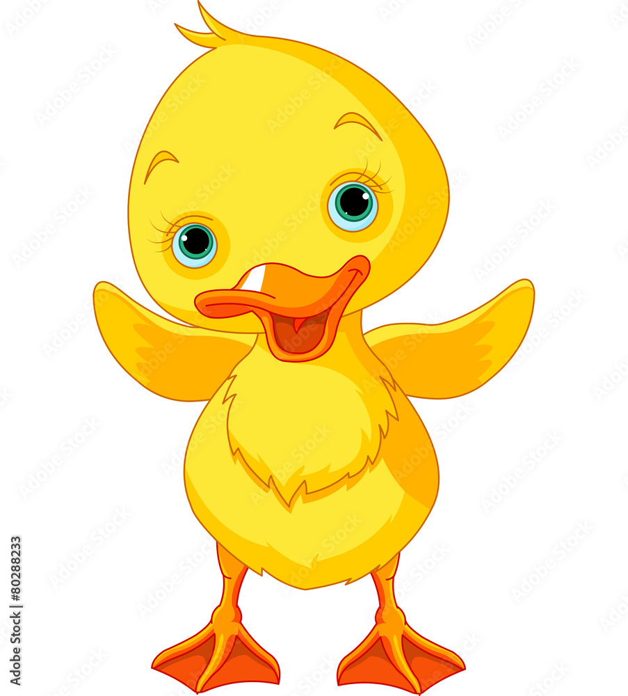 Fototapeta premium Happy Duckling
