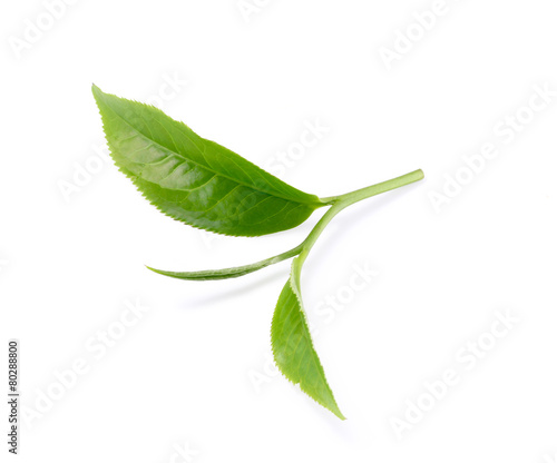 Green tea leaf isolated on white background.