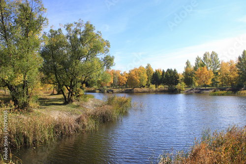 Autumn landscape - pond in the park