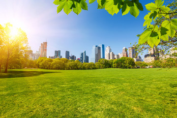 Central park, New York