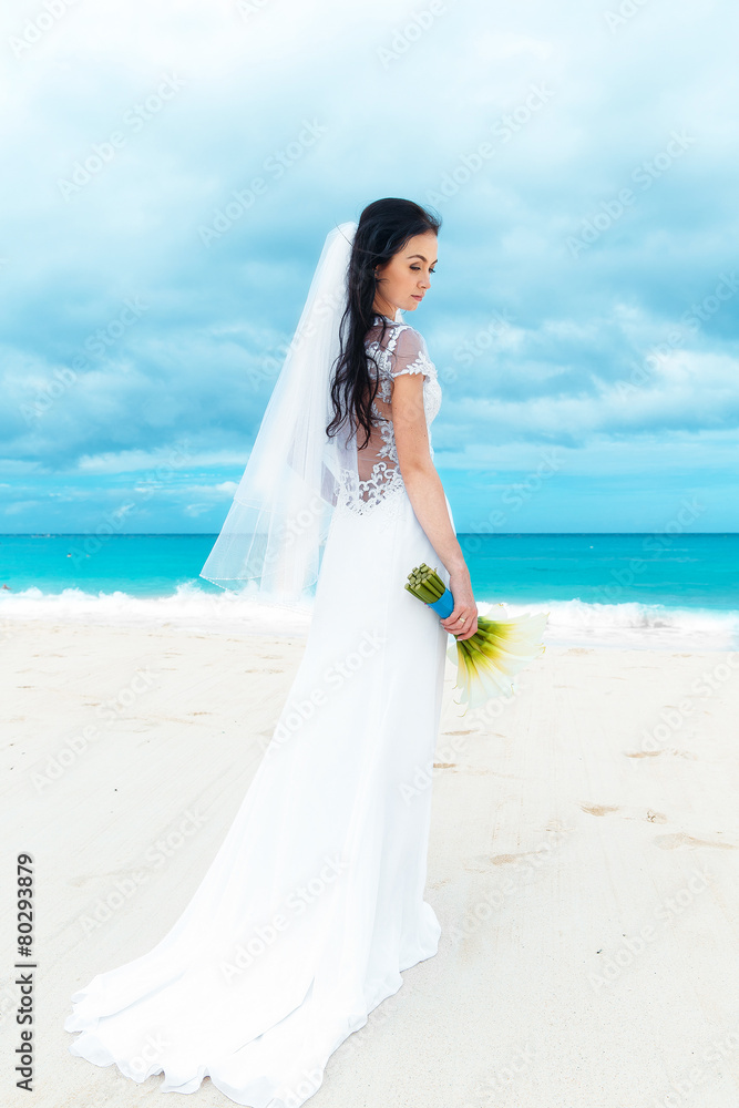 beautiful fiancee in white wedding dress with big long white tra beautiful fiancee in white wedding dress with big long white tra