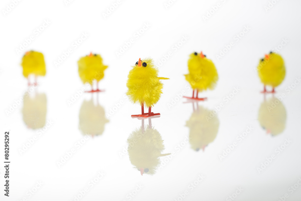Easter still life with  chickens on white background.