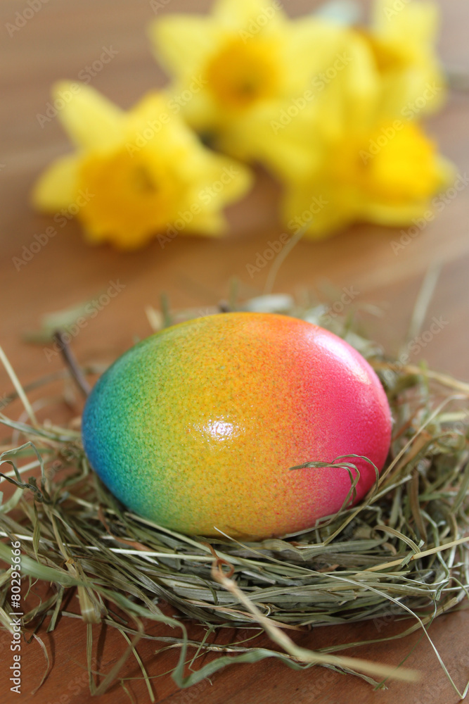 Frohe Ostern - Osternest mit bunt gefärbtem Ei Frohe Ostern - Osternest mit bunt gefärbtem Ei