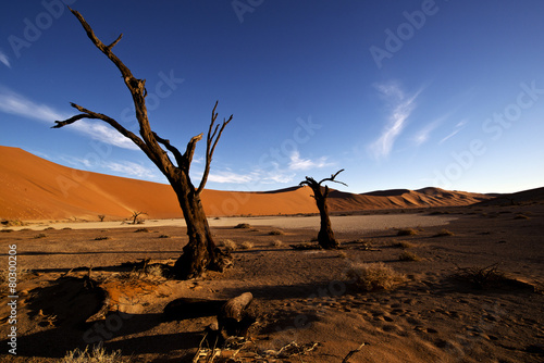 Hidden Vlei