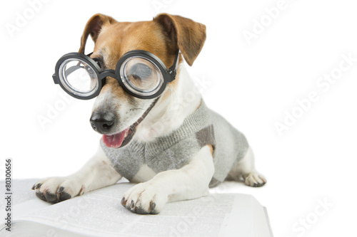 Smart reader cool puppy
