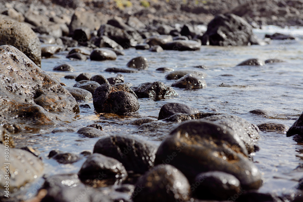 Obraz premium Stony coast in Tenerife, Canary Islands. Spain