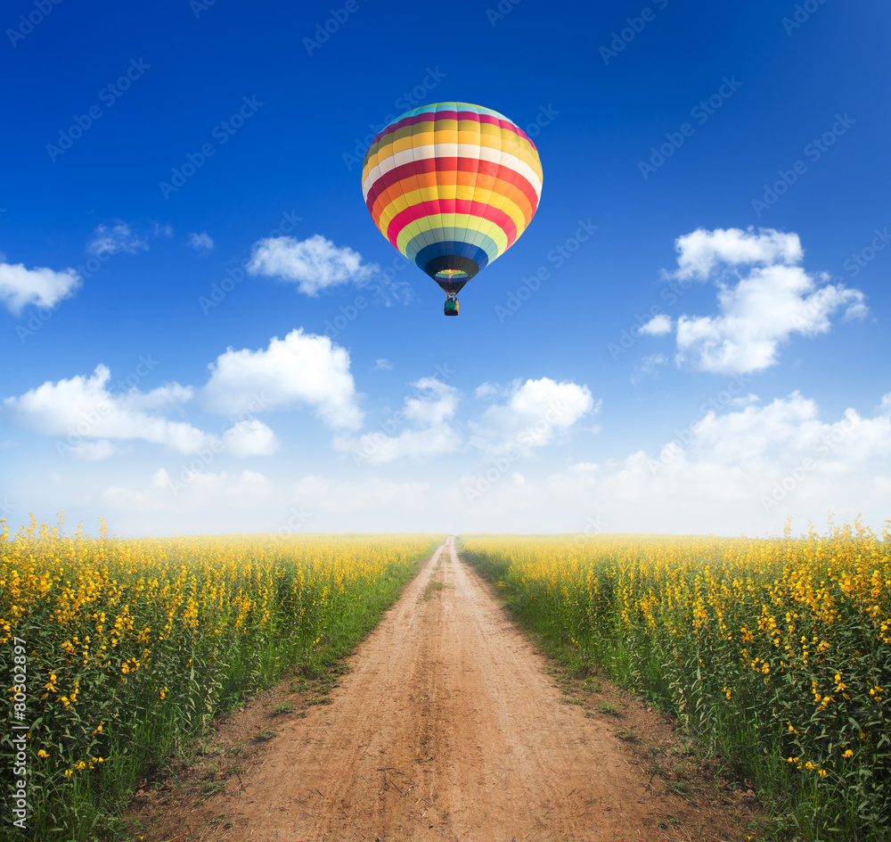 Naklejka premium Hot air balloon over dirt road into yellow flower fields with cl